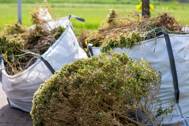 Best Shed Removal  in Metamora, IL